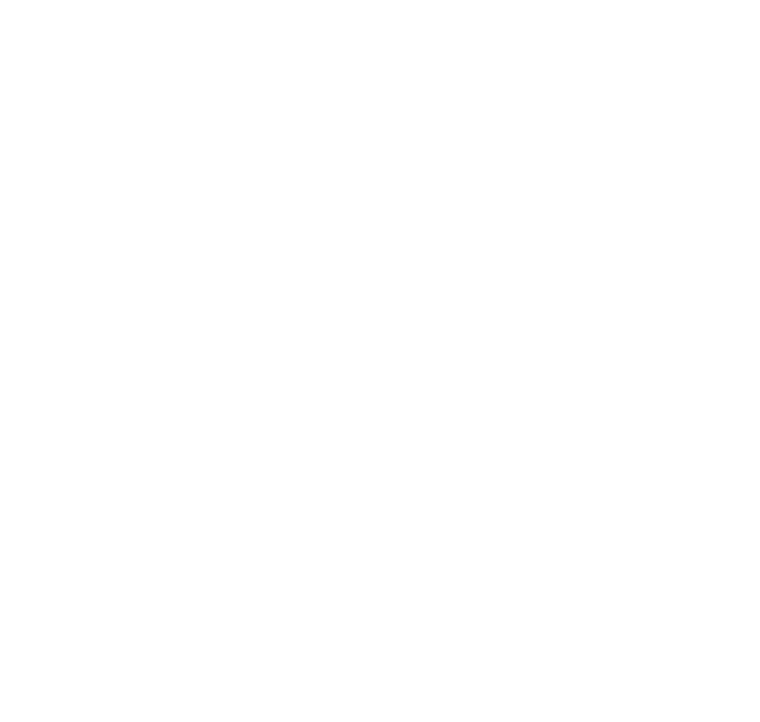 signature finish professional painter & decorator logo upscaled white