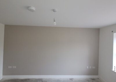 Signature Finish Professional Painter and Decorator job photo